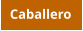 Caballero